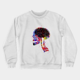 Skull and brain Crewneck Sweatshirt